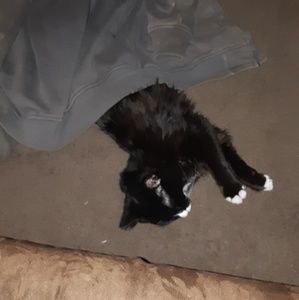 Meet your Posher, Gina